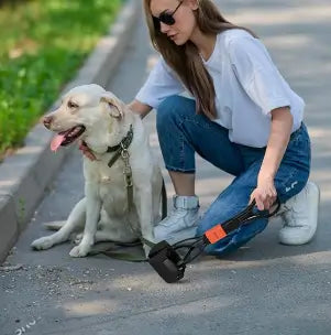 Portable Folding Pet Pooper Scooper