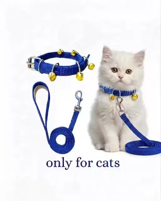 Pet Fantasy Nylon Cat Collar and Leash Set – Blue