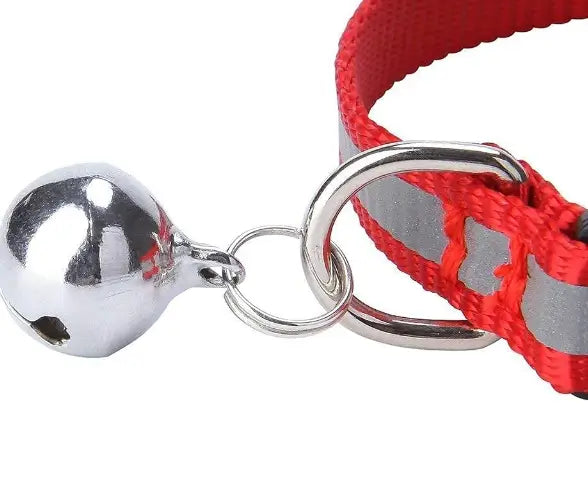 Reflective Nylon Pet Collar and Leash Set – Red