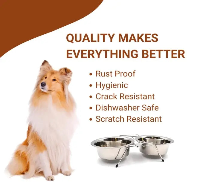 Stainless Steel Pet Feeder Bowl with Iron Stand – 200 ml