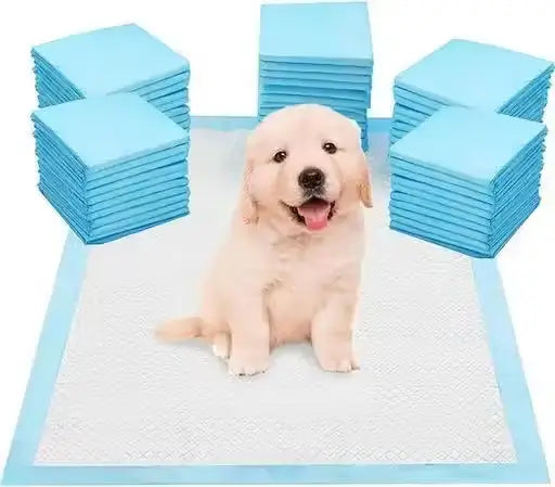 Puppy Training Pee Pads Quick Dry Potty Training Mats Pack of 10