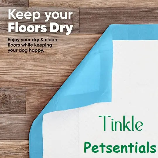 Puppy Training Pee Pads Quick Dry Potty Training Mats Pack of 10