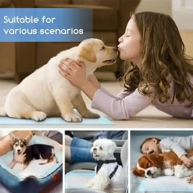 Puppy Training Pee Pads Quick Dry Potty Training Mats Pack of 10