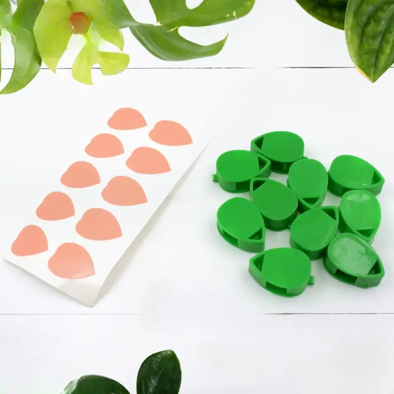 Plant Climbing Wall Clips (10 Pcs)