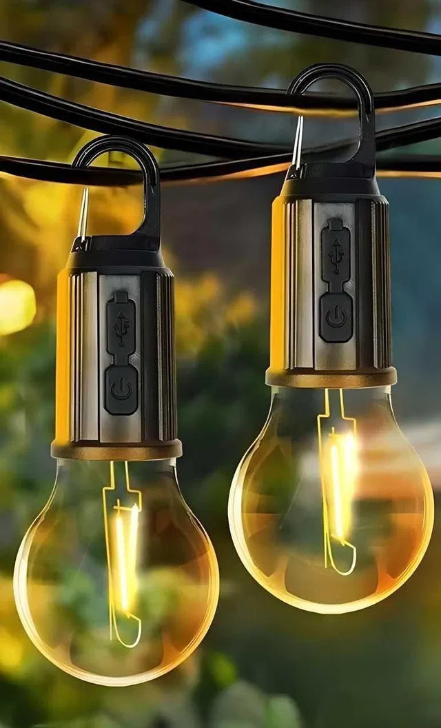 Decorative Hanging Bulb with 3 Modes(2 ps)