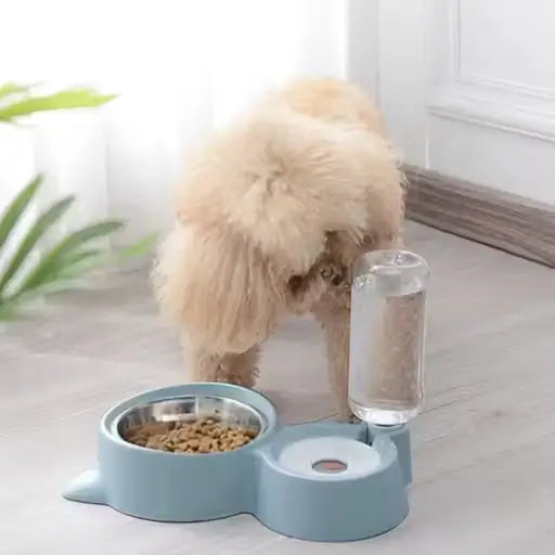 2 in 1 Automatic Pet Feeder Bowl with Water Dispenser Bottle
