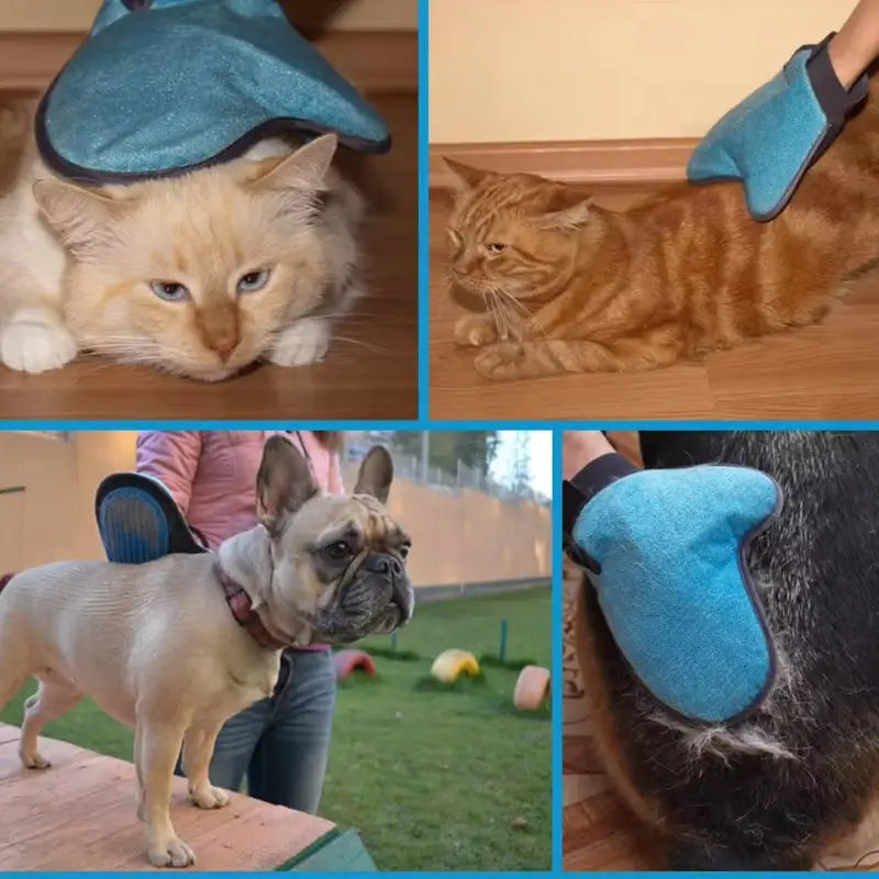 Pet Grooming Glove (1 Pc)