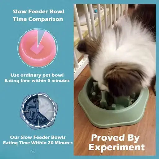 Slow Feeding Anti-Choking Pet Bowl