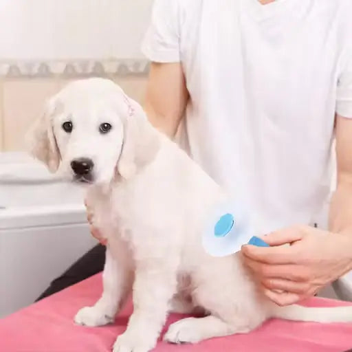 Self-Cleaning Slicker Brush for Dogs and Cats