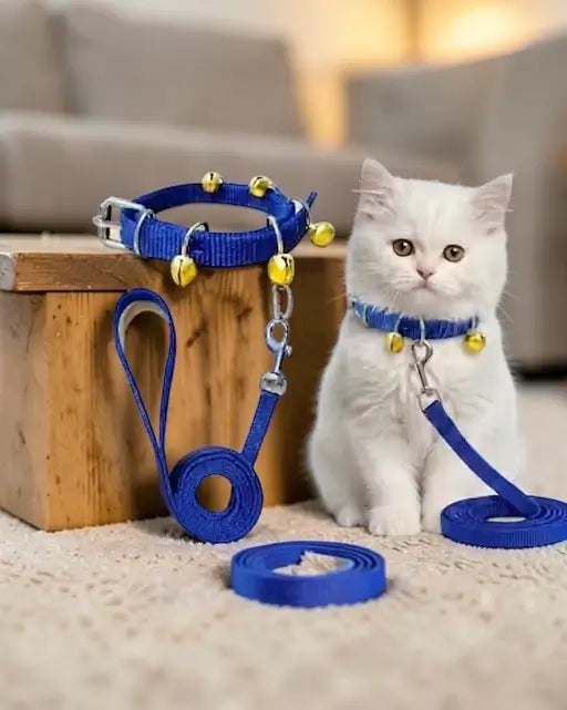 Pet Fantasy Nylon Cat Collar and Leash Set – Blue