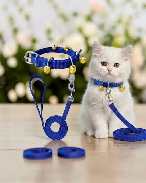 Pet Fantasy Nylon Cat Collar and Leash Set – Blue