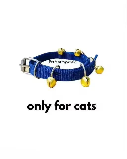 Pet Fantasy Nylon Cat Collar and Leash Set – Blue