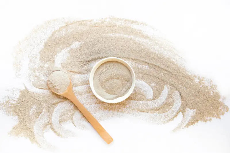 Multani Mitti Fuller's Earth Clay